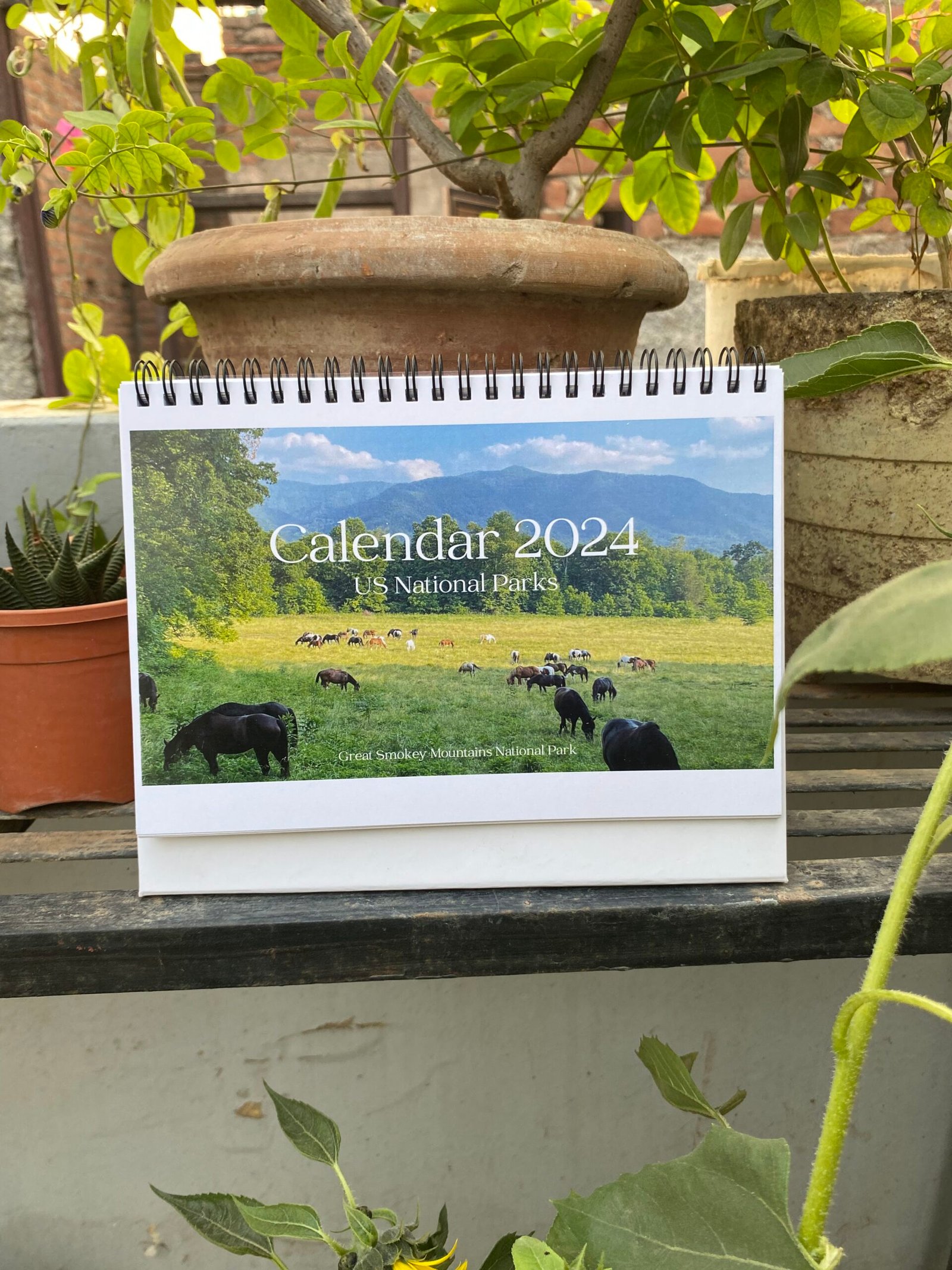 US National Park Calendar- Buy now